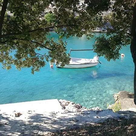 Ljuba * Sevid